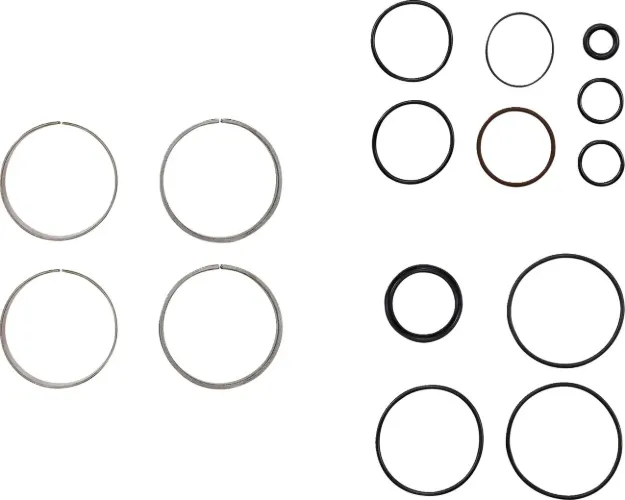 Fork Bushings Kit