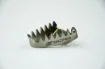 Brake Tip