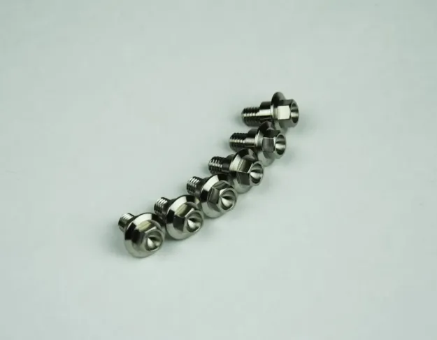 Titanium Screws