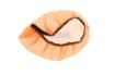 Filter Cover