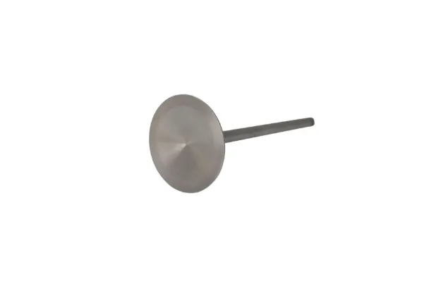 Engine Valve