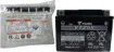 AGM Maintenance-Free Battery