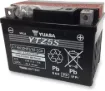AGM Maintenance-Free Battery