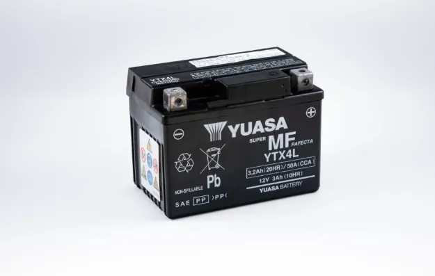 Maintenance-Free Battery