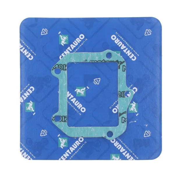 Intake Gasket