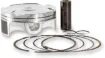 Piston Kit (Cast Replica)