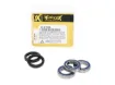 Wheel Bearing