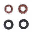 Wheel Bearing