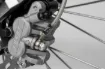 Stainless Steel Brake Line