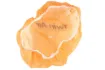 Air Filter Cover Grand Prix