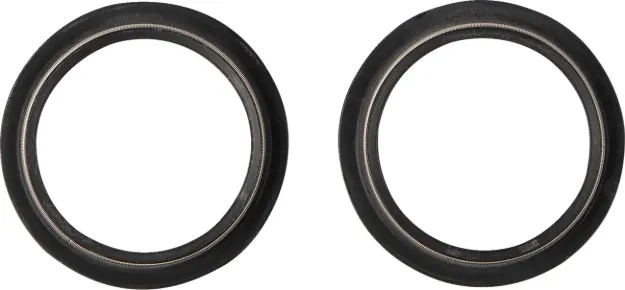 Dust Seal Kit