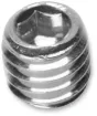 Securing Screw
