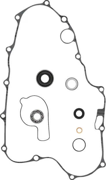 Water Pump Rebuild Kit