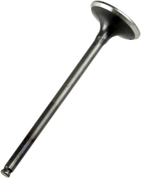 Engine Valve