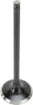 Black Diamond™ Engine Valve