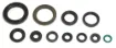 Engine Oil Seal