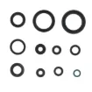 Oil Seal