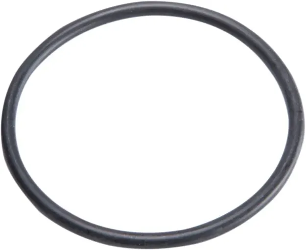 Top Cap O-Ring