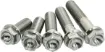 Titanium Screws