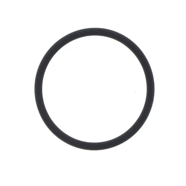 Exhaust Gasket