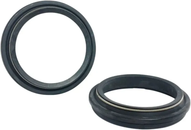 Dust Seal