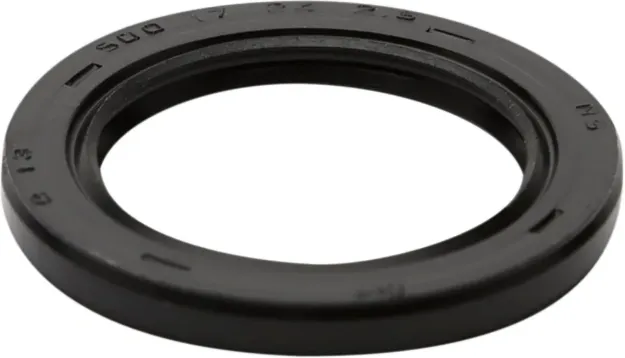 Dust Seal
