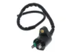 Ignition Coils