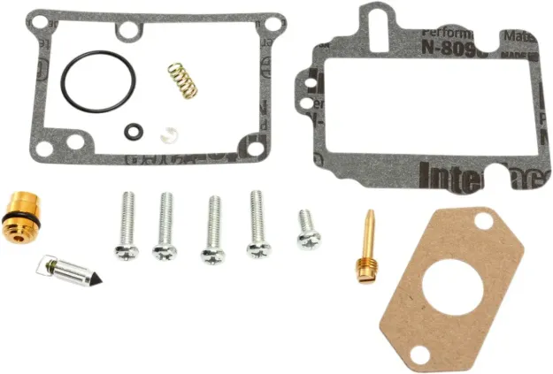 Carburetor Repair Kit