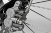 Brake Lines