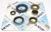 Engine Oil Seal