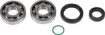 Crankshaft Bearing and Seal Kit
