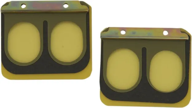 Replacement Pro Series Reed Set for RAD Valve