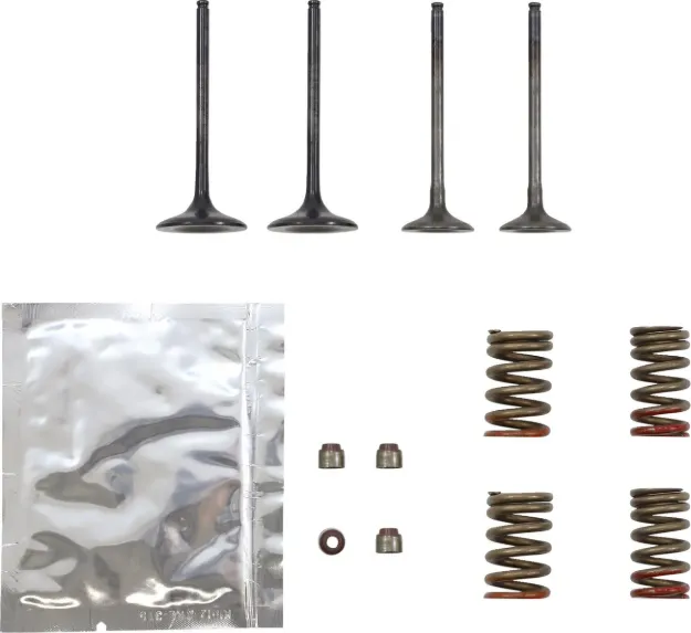 Valve Kit