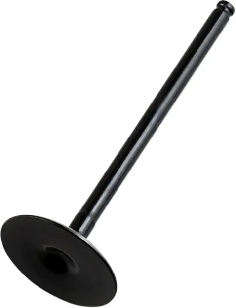 Replacement Valve
