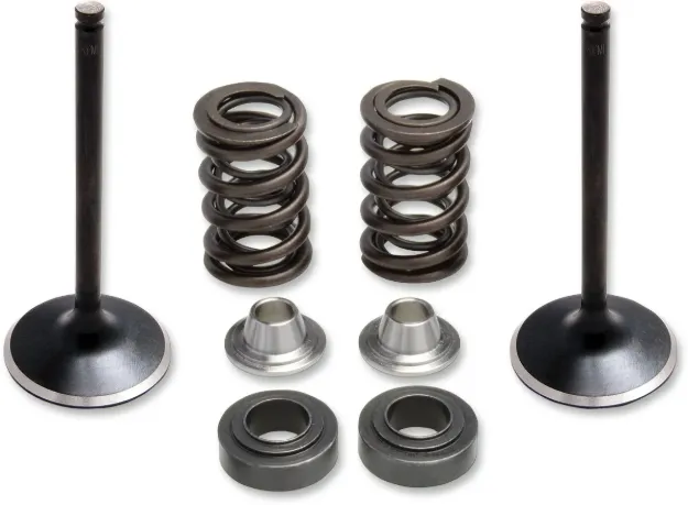 Intake Stainless Conversion Valve and Spring Kit