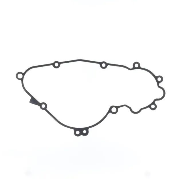 Ignition Gasket