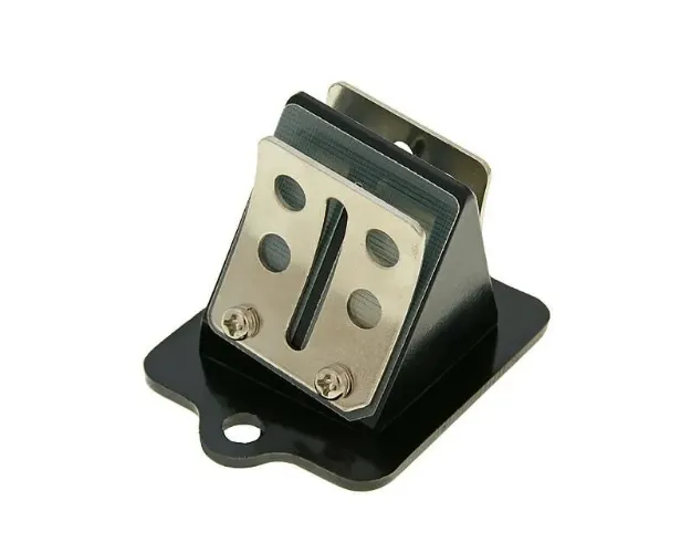 Reed Valve Kit