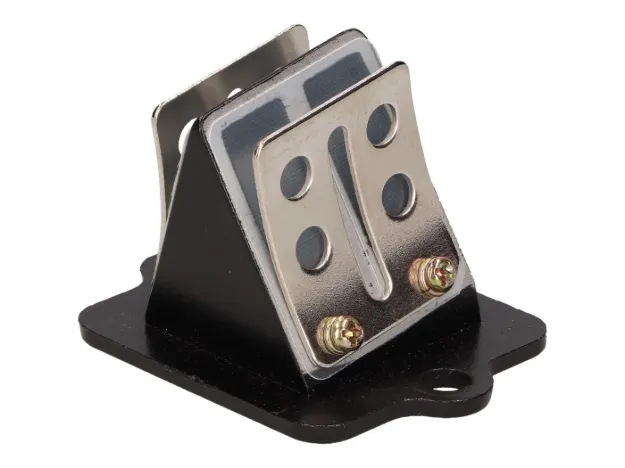 Reed Valve Kit