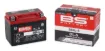 SLA Factory-Activated AGM Maintenance-Free Batteries