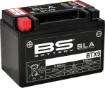 SLA Factory- Activated AGM Maintenance-Free Battery