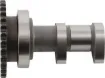 Camshaft Exhaust Stage 1