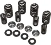 Valve Spring Kit