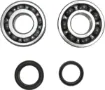 Crankshaft Bearing and Seal Kit